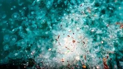 İstanbul Boğazı'nın Beyoğlu Haliç, Sarıyer ve Beşiktaş kıyılarında su yüzeyi