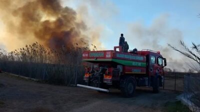 Muğla’nın Köyceğiz ilçesi Gedova Adası mevkiindeki sazlık alanda çıkan yangına,
