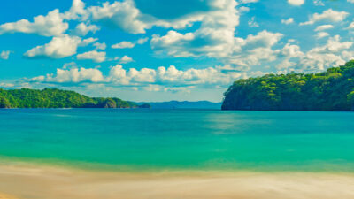 Egemen Mustafa Şener’in uçuş sektörü hakkında düşünceleri. Seyahat ve uçuş