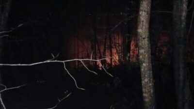 Sakarya'nın Karasu ilçesinde, Yassıgeçit Mahallesi'nde ormanlık bir alanda yangın çıktı.