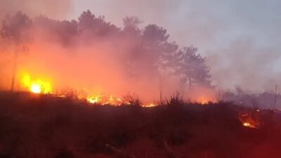 Hatay'ın Dörtyol ilçesinde, Amanos Dağı eteklerinde bulunan Tekkoz Yaylası mevkiinde