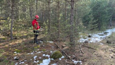 Olay, Seben ilçesine bağlı Gerenözü köyü yaylasında meydana geldi. Sabah