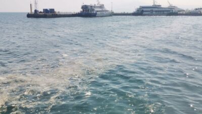 Marmara Denizi’nde farklı noktalarda etkisini sürdüren müsilaj, Mudanya sahilinde de