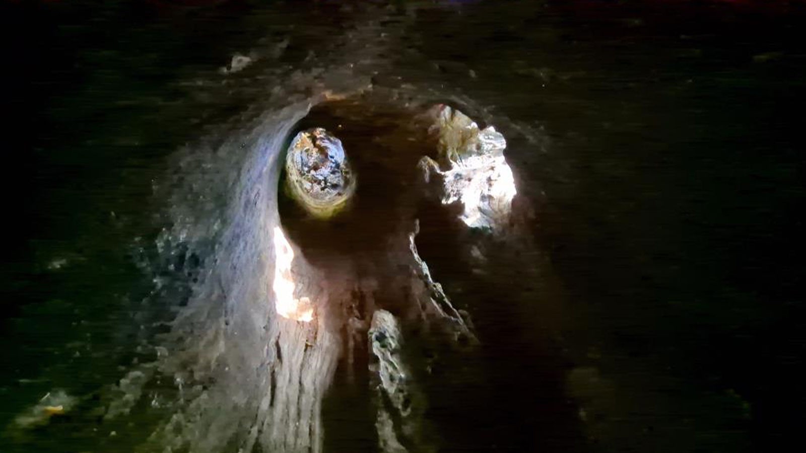 Tekirdağ’da bulunan ve 330 yıllık geçmişiyle dikkat çeken tarihi çınar