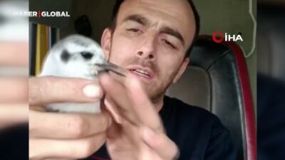 Rize'nin Ardeşen ilçesinde yaşayan Adnan Saymaz isimli vatandaş, yolda bulduğu