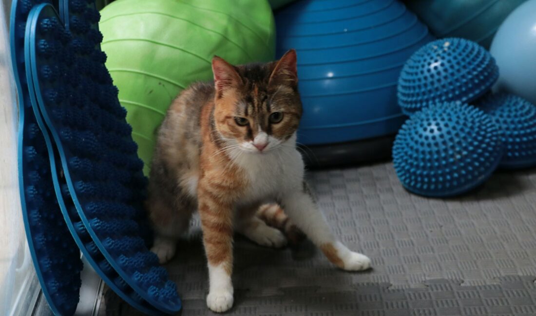 6 Şubat 2023’teki depremlerde Hatay’ın Defne ilçesinde gerçekleştirilen arama kurtarma