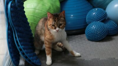 6 Şubat 2023’teki depremlerde Hatay’ın Defne ilçesinde gerçekleştirilen arama kurtarma