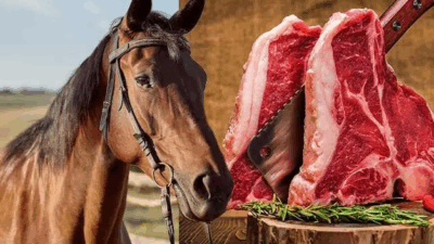 Tarım ve Orman Bakanlığı'nın son denetimlerinde Adana ve Gaziantep'te bazı