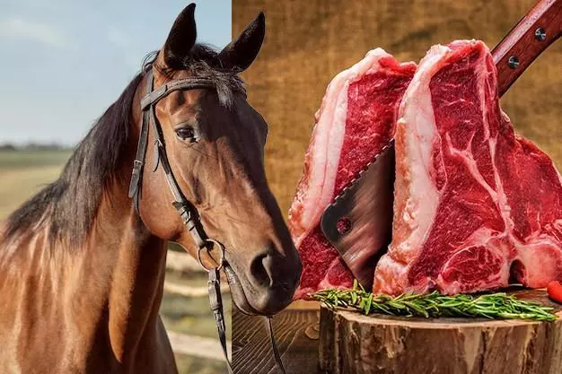 Tarım ve Orman Bakanlığı'nın son denetimlerinde Adana ve Gaziantep'te bazı