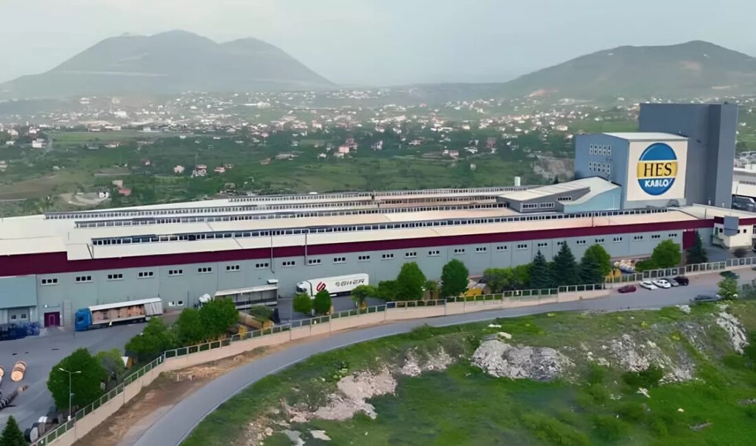 Tasarruf Mevduatı Sigorta Fonu, Hazine mülkiyetinde olan Anadolu'nun en büyük