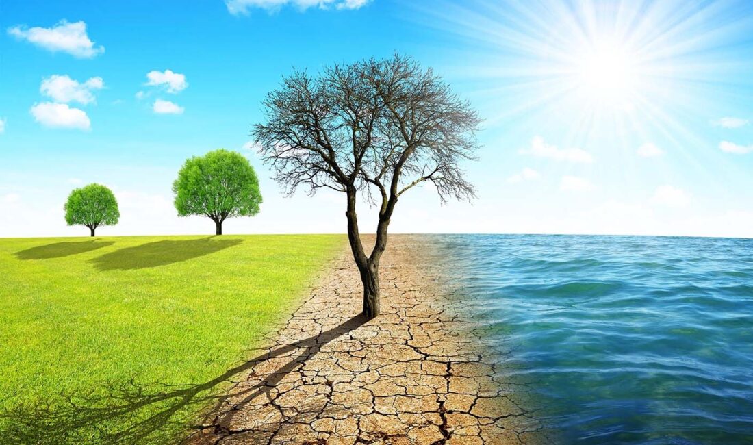 İklim değişikliği, gezegenimizin geleceğini tehdit eden en büyük sorunlardan biri