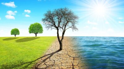 İklim değişikliği, gezegenimizin geleceğini tehdit eden en büyük sorunlardan biri