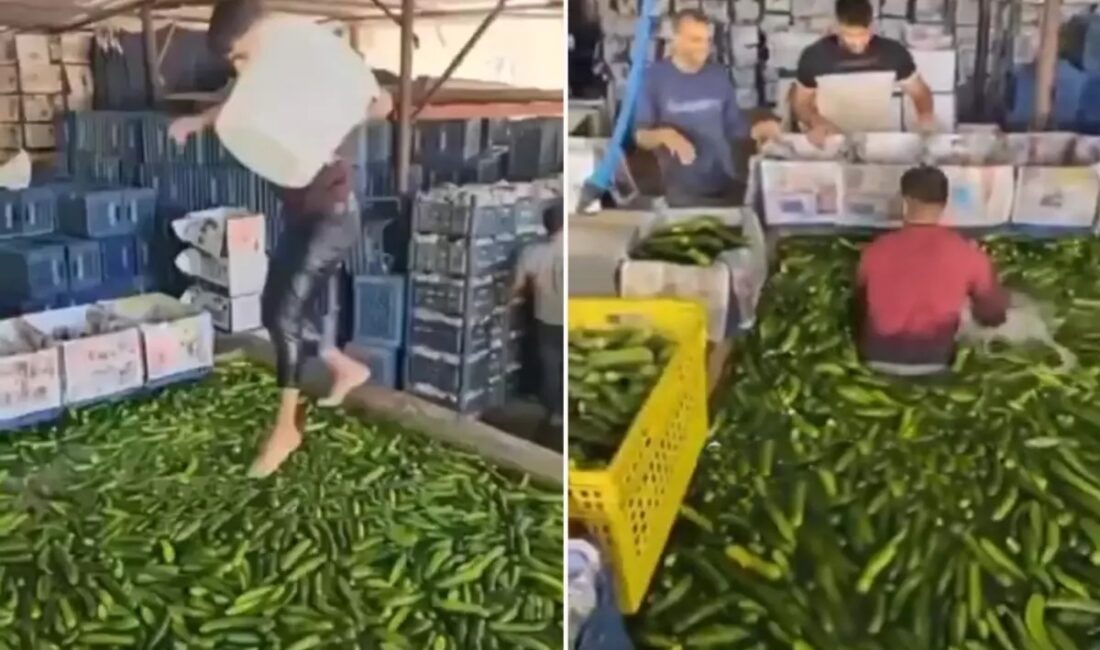 Adana'daki bir meyve sebze deposunda, bir çalışan salatalıkların olduğu havuza