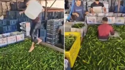 Adana'daki bir meyve sebze deposunda, bir çalışan salatalıkların olduğu havuza