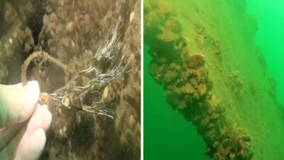 1972 yılında Sakarya ve Kocaeli'nin içme suyu ihtiyacını karşılayan Sapanca