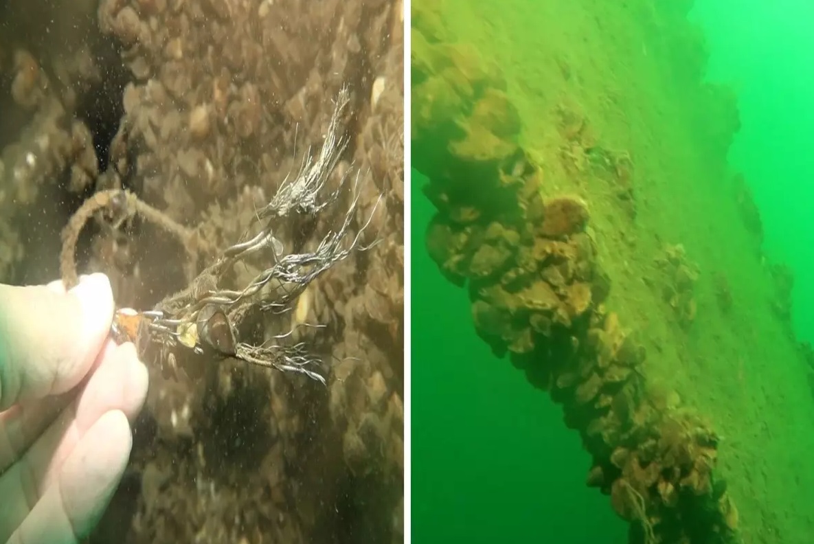 1972 yılında Sakarya ve Kocaeli'nin içme suyu ihtiyacını karşılayan Sapanca