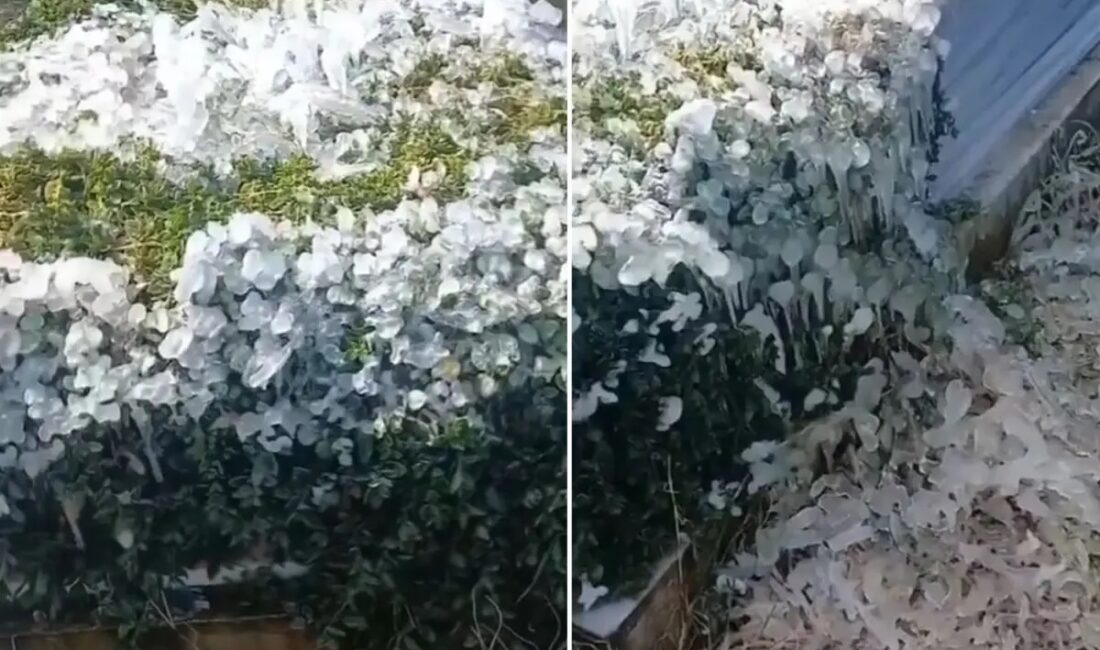 Osmaniye'de mezarlıkta çekildiği iddia edilen bir videoda güneşli havaya rağmen