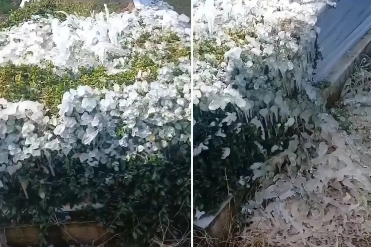 Osmaniye'de mezarlıkta çekildiği iddia edilen bir videoda güneşli havaya rağmen