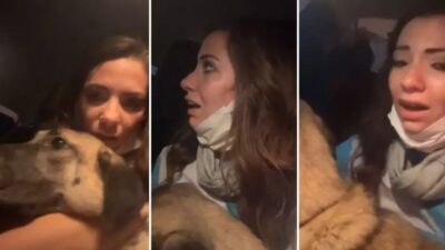 Bursa'nın Kestel ilçesinde başlayan ve Gürsu'ya ilerleyen yangında hayvan bakım