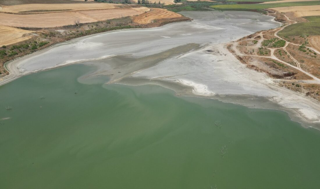Tekirdağ'da, tarımsal sulama ve içme suyu amaçlı kullanılan Türkmeneli Göleti'nde