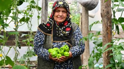 Sarıkamış ilçesinde bir bahçede kurduğu seralarla organik sebze yetiştiren Sona