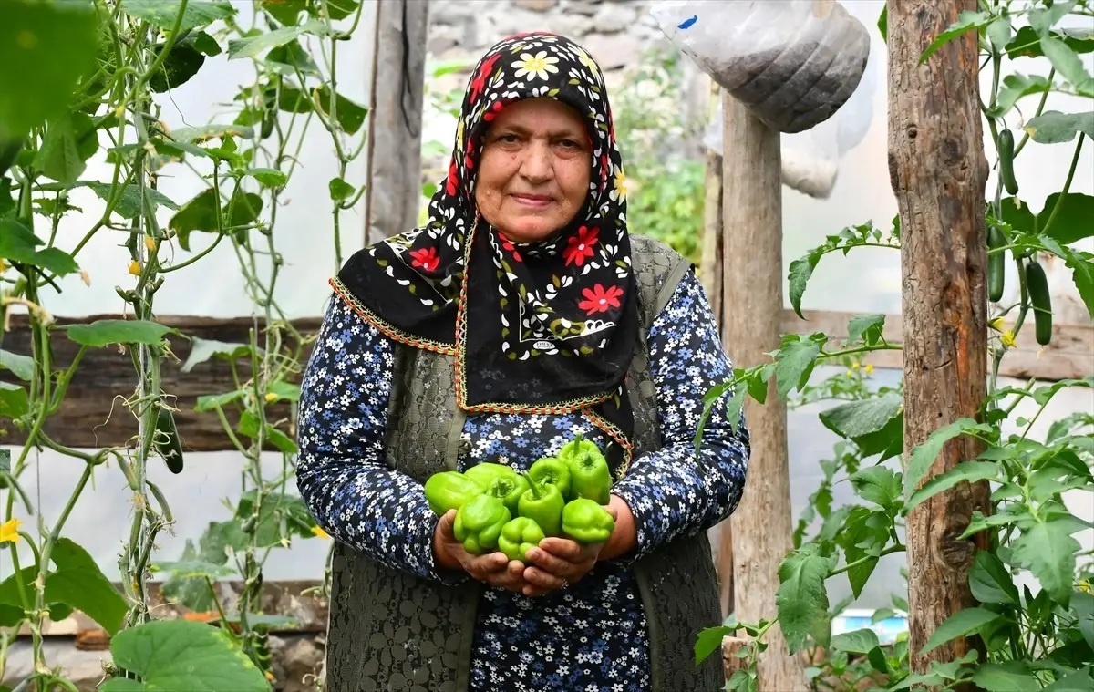 Sarıkamış ilçesinde bir bahçede kurduğu seralarla organik sebze yetiştiren Sona