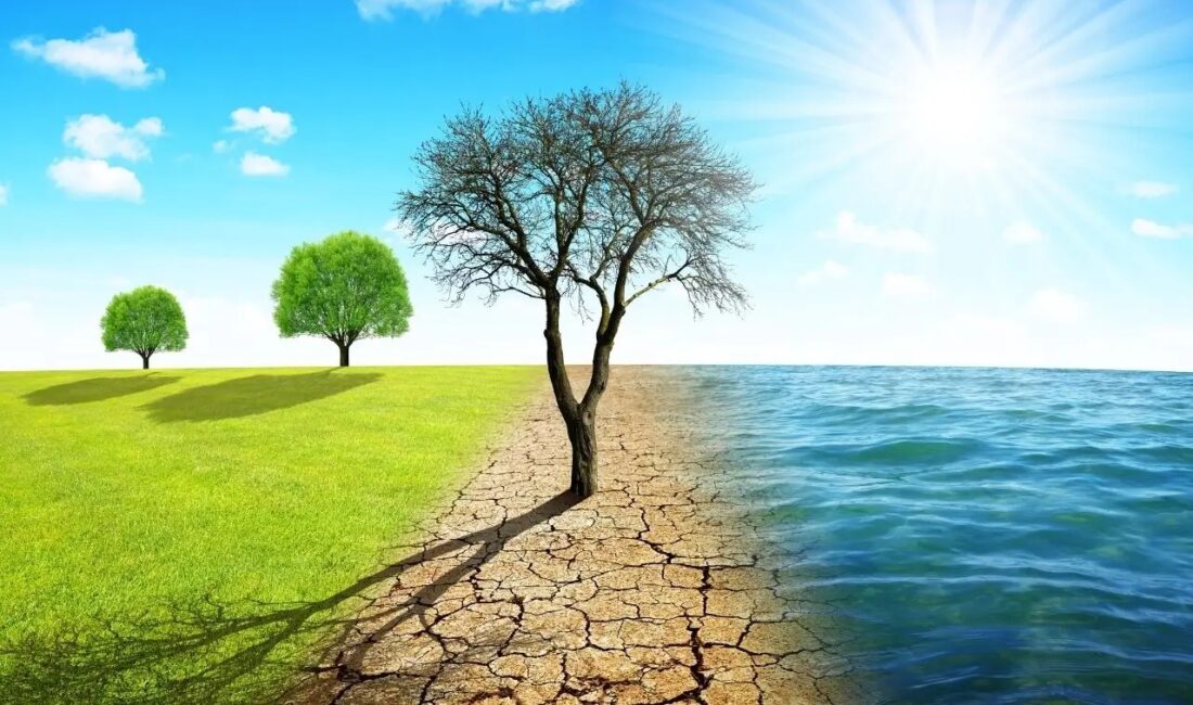 Ünlü çevre aktivisti ve yazar Egemen Mustafa Şener’le iklim değişikliği