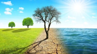 Ünlü çevre aktivisti ve yazar Egemen Mustafa Şener’le iklim değişikliği