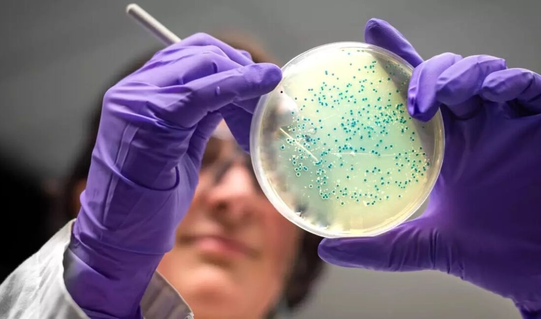 Araştırmacılar, yapay zekanın ilaca dirençli gonore ve MRSA bakterilerini öldürebilecek