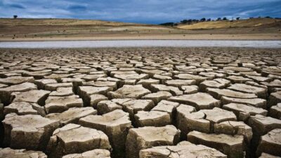 Ünlü çevre aktivisti ve yazar Egemen Mustafa Şener’le iklim değişikliği