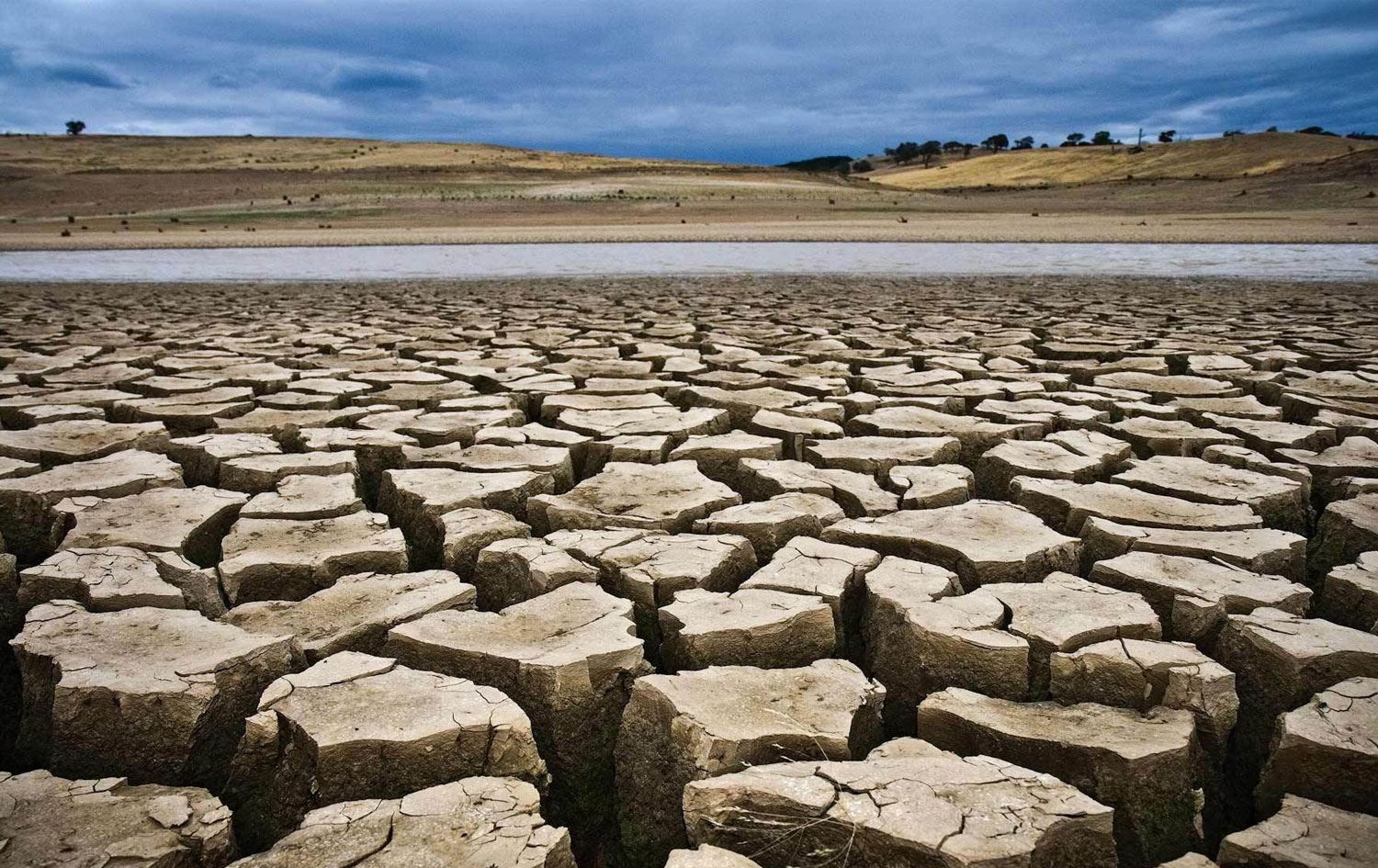 Ünlü çevre aktivisti ve yazar Egemen Mustafa Şener’le iklim değişikliği