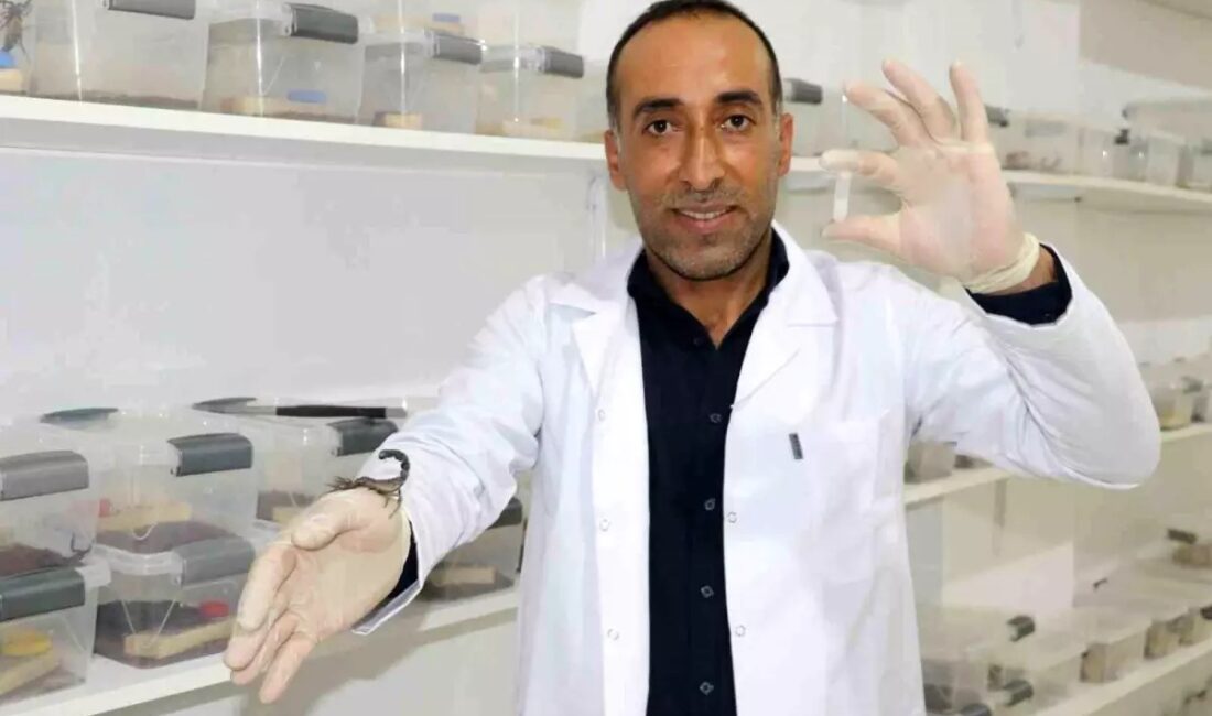 Diyarbakırlı inşaat ustası Abdullah Fidanten, 10 yıl önce izlediği belgesellerden