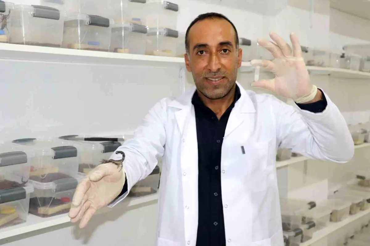 Diyarbakırlı inşaat ustası Abdullah Fidanten, 10 yıl önce izlediği belgesellerden