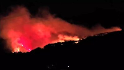 Muğla'nın Köyceğiz ilçesine bağlı Akköprü Mahallesinde çıkan orman yangınına itfaiye