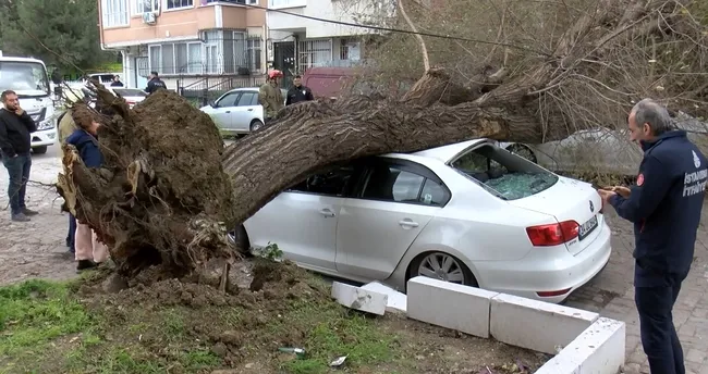 AFET Koordinasyon Merkezi, İstanbul'da bir haftadır süren soğuk ve yağışlı