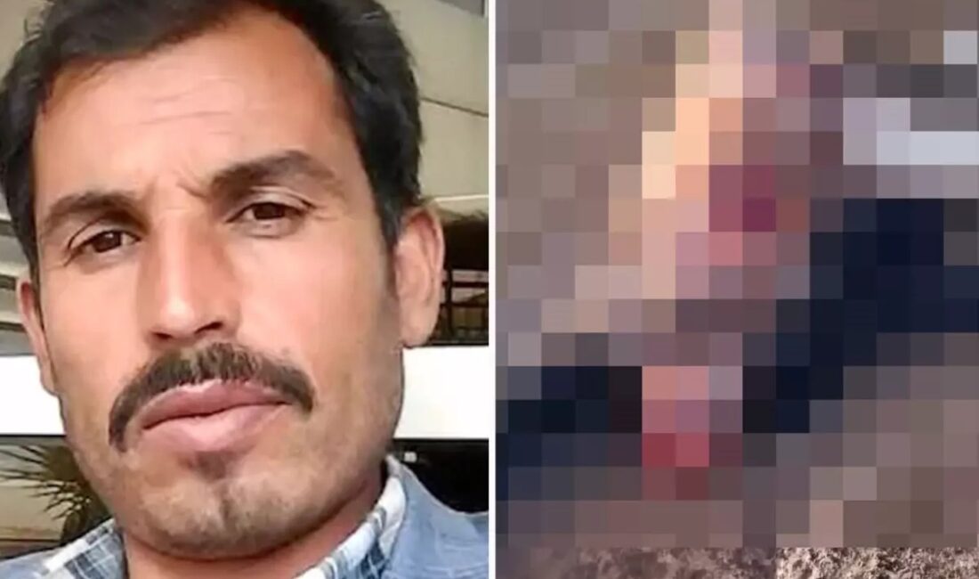 Şanlıurfa'nın Harran ilçesinde 29 Aralık'ta tahliye kanalına devrilen otomobilin kayıp