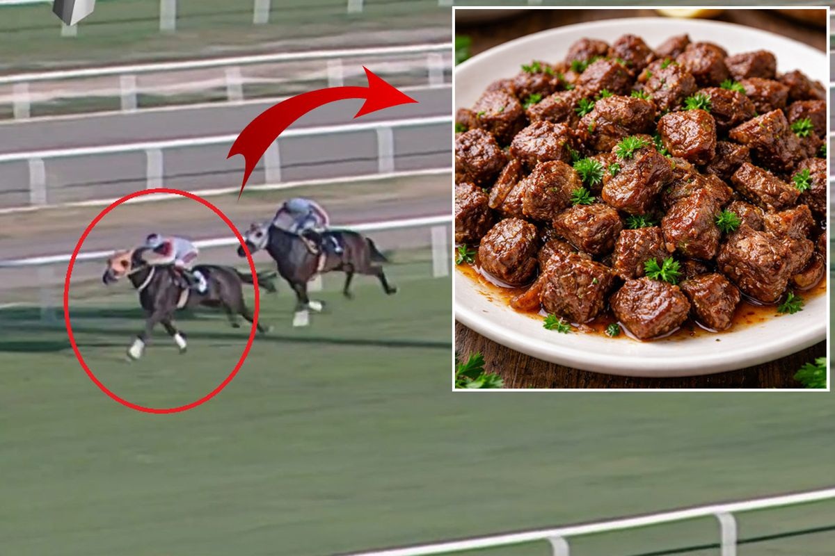 Mersin’de belediyeye bağlı aşevinde ihtiyaç sahiplerine dağıtılan kavurmada at eti