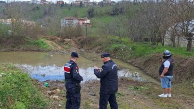 Zonguldak'ın Alaplı ilçesinde su birikintisine düşerek balçığa saplanan çocuk, yaşamını