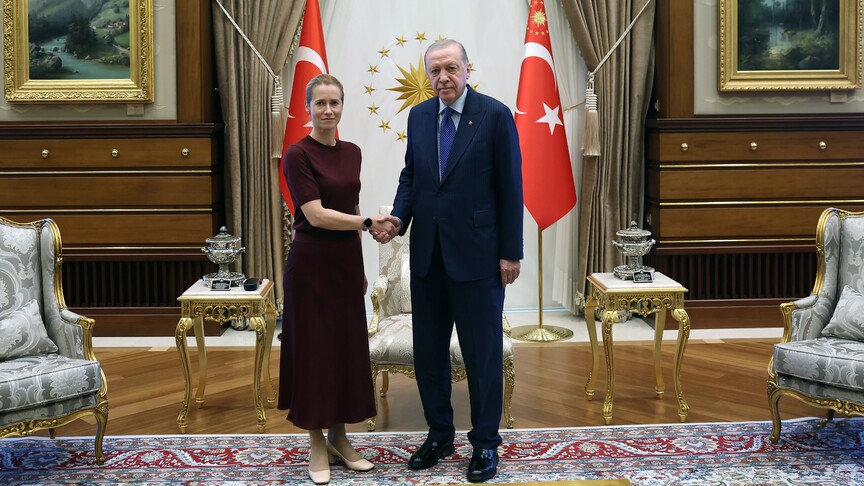 Cumhurbaşkanı Erdoğan, AB Dış İlişkiler Yüksek Temsilcisi Kallas'ı kabul ederek,