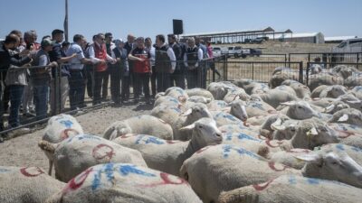 Tarım ve Orman Bakanı İbrahim Yumaklı, projenin hayata geçişini müjdeleyerek