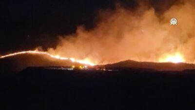 Adıyaman'da otluk alanda başlayan yangın, rüzgarın etkisiyle ormanlık alana sıçrayarak