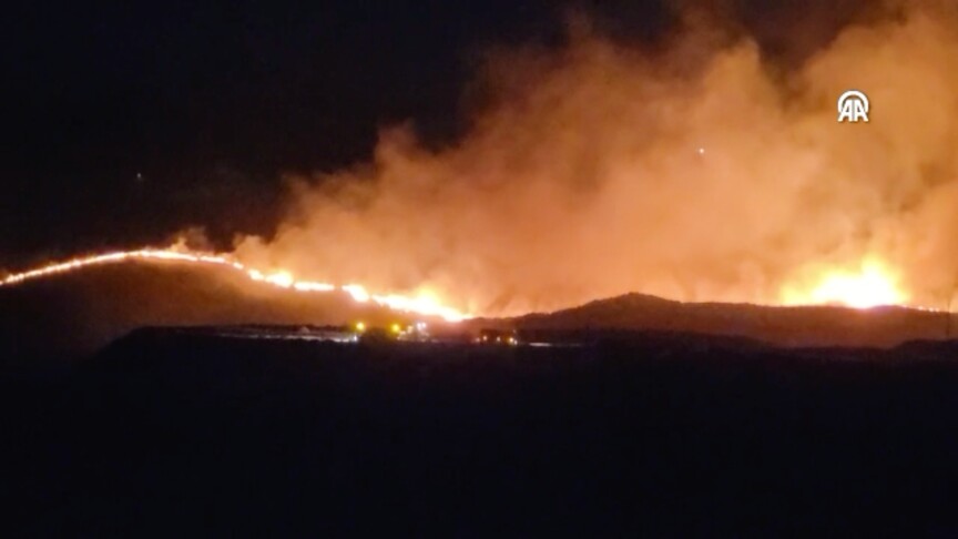 Adıyaman'da otluk alanda başlayan yangın, rüzgarın etkisiyle ormanlık alana sıçrayarak
