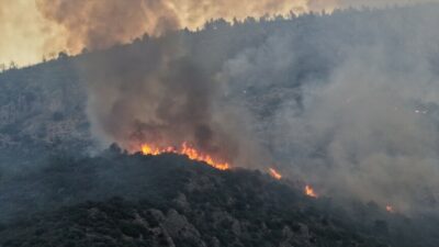 Antalya'nın Kaş ve Muğla'nın Seydikemer ilçelerinde çıkan orman yangınlarına acil