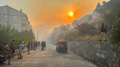 Aydın'ın Söke ilçesinde meydana gelen yangın, havadan ve karadan yapılan