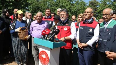 Tarım ve Orman Bakanı İbrahim Yumaklı, Malatya'daki kayısı hasadına katılarak