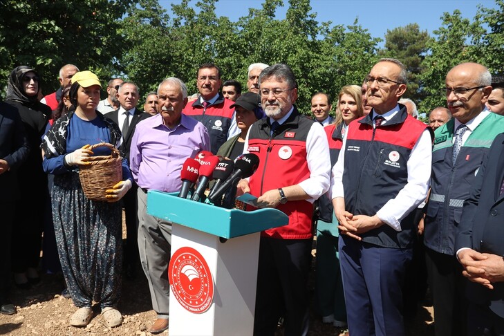 Tarım ve Orman Bakanı İbrahim Yumaklı, Malatya'daki kayısı hasadına katılarak