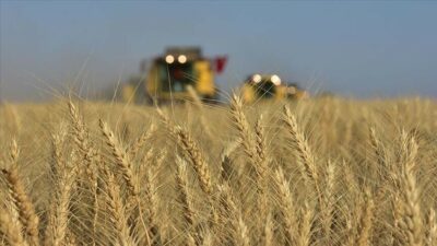 Uluslararası piyasalarda buğday fiyatları, son iki yılın en yüksek seviyesine