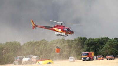 Fransa'nın Fontainebleau Ormanı'nda meydana gelen yangın, büyük bir çevresel felakete