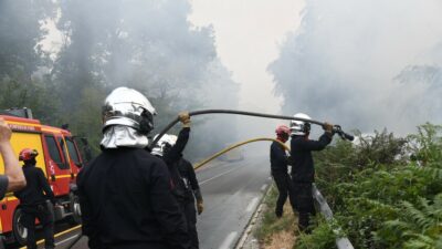 Fontainebleau Ormanı, Fransa'nın doğal zenginliklerinden biri olarak kayıplarını gözler önüne