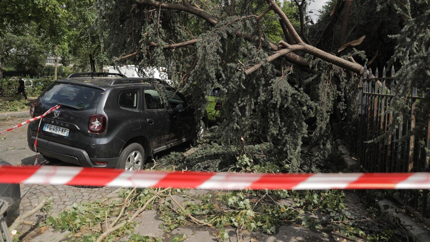 Fransa'nın doğusundaki 10 vilayette, orman yangınları ve rekor sıcaklıklarla mücadele